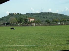 DSCN0866.JPG